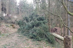 Sturmschäden im Deister (Region Hannover)