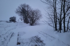 Schneesturm0126-3