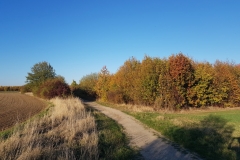 Spätsommer im Oktober - Region Hannover