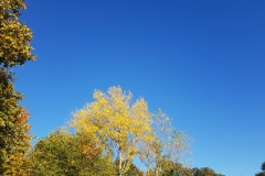 Spätsommer im Oktober - Region Hannover