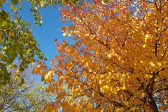 Spätsommer im Oktober - Region Hannover