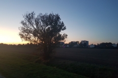 Spätsommer im Oktober - Region Hannover