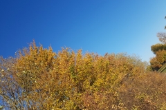 Spätsommer im Oktober - Region Hannover