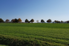 Spätsommer im Oktober - Region Hannover