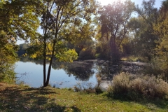 Spätsommer im Oktober - Region Hannover