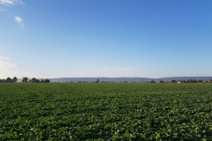 Spätsommer im Oktober - Region Hannover