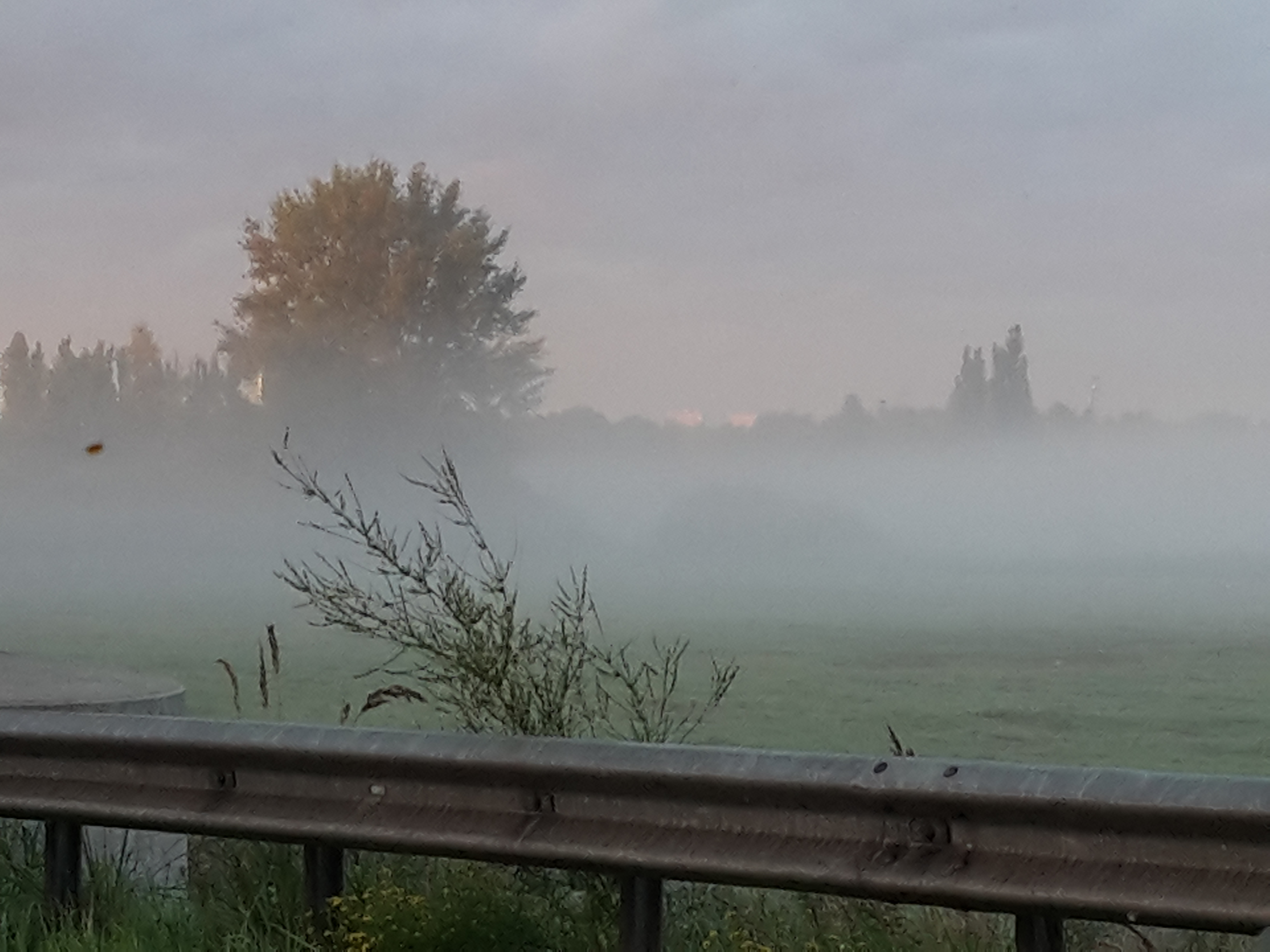 Ein Hauch von Herbst