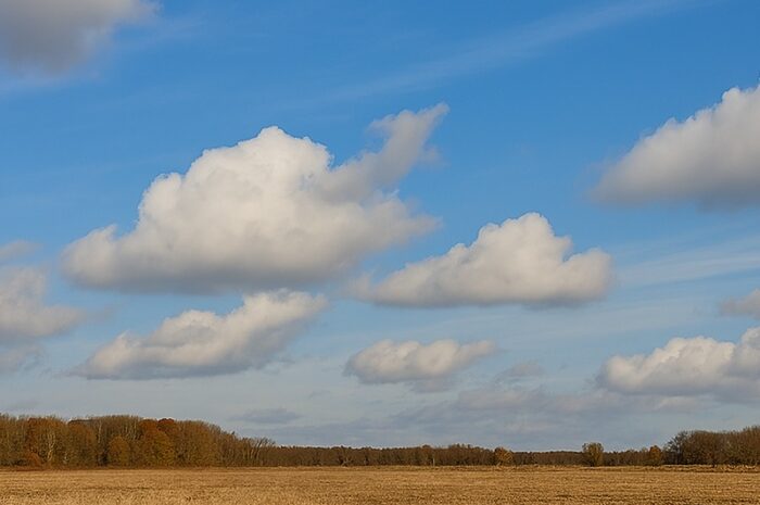 Mild statt winterlich: Die nächste Woche im Überblick