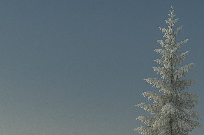 Weihnachtswetter 2025